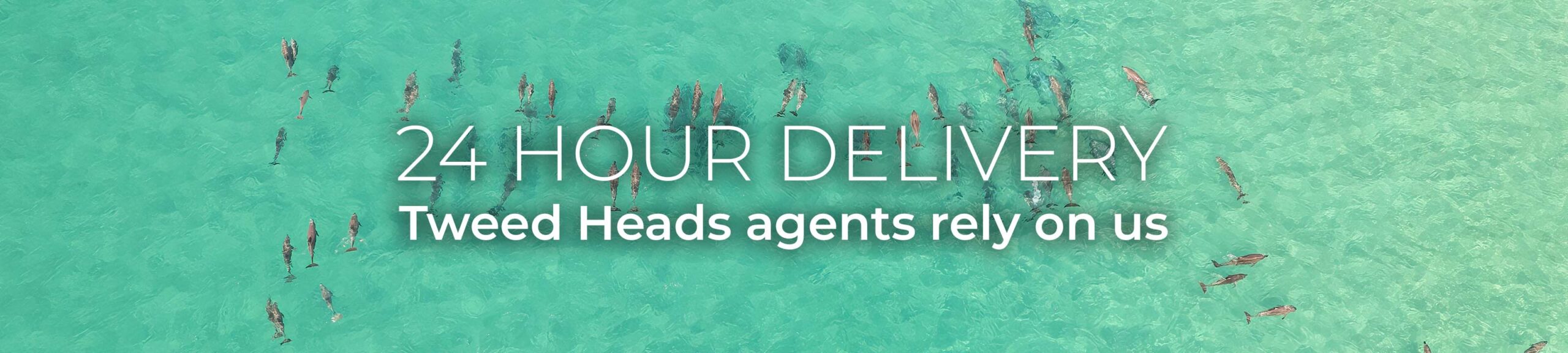 Aerial view of a pod of dolphins swimming between Fingal Head and Cook Island near Tweeds Heads, NSW